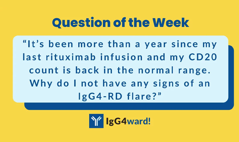 Question of the Week: “It’s been more than a year since my last rituximab infusion and my CD20 count is back in the normal range. Why do I not have any signs of an IgG4-RD flare?”