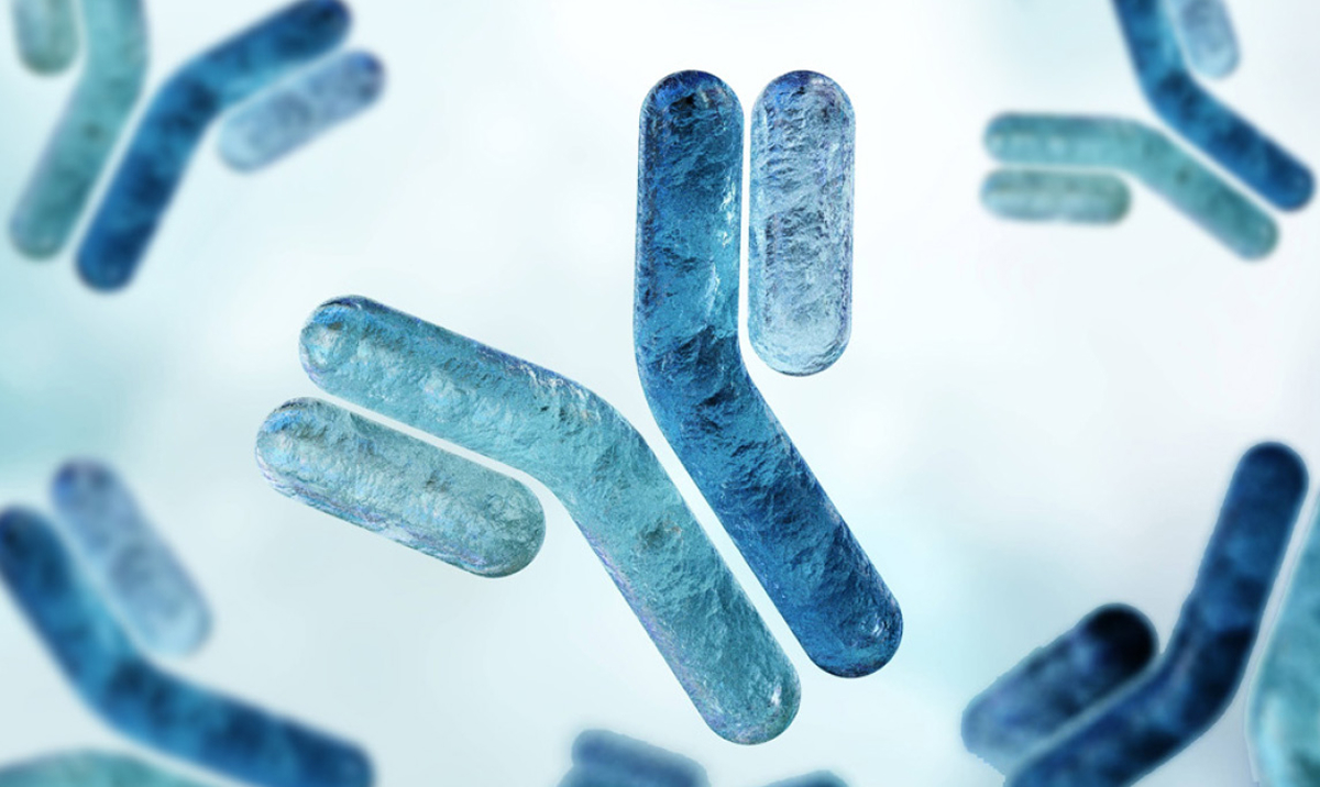 Official management and treatment guidelines for IgG4-related disease