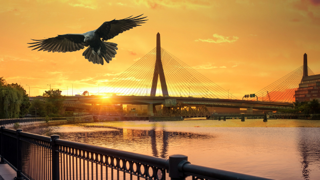 Get Involved_Donate_Fund_Events.jpg