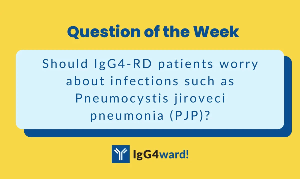 Should IgG4-RD patients worry about infections such as Pneumocystis jiroveci pneumonia (PJP)? 